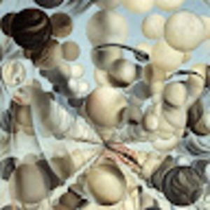 Meet your Posher, Sabrina